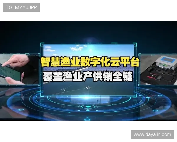 开云旗舰平台：打造全球顶级奢侈品牌的数字化新引擎