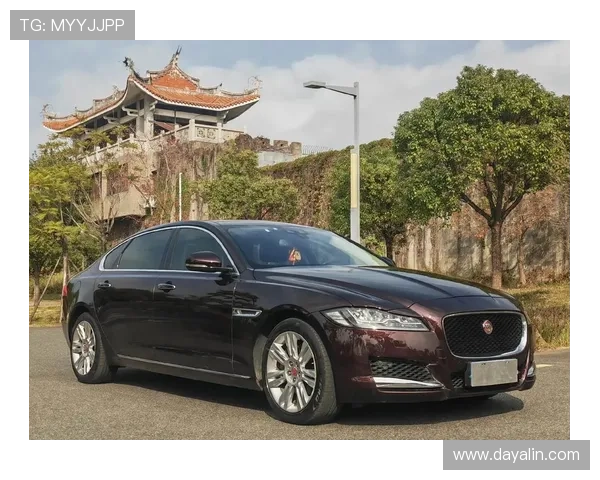 捷豹娱乐积极布局新媒体，推动娱乐内容的多渠道传播与推广