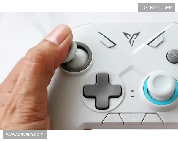 南宫28国际技术支持与客服服务全方位保障玩家权益与游戏体验