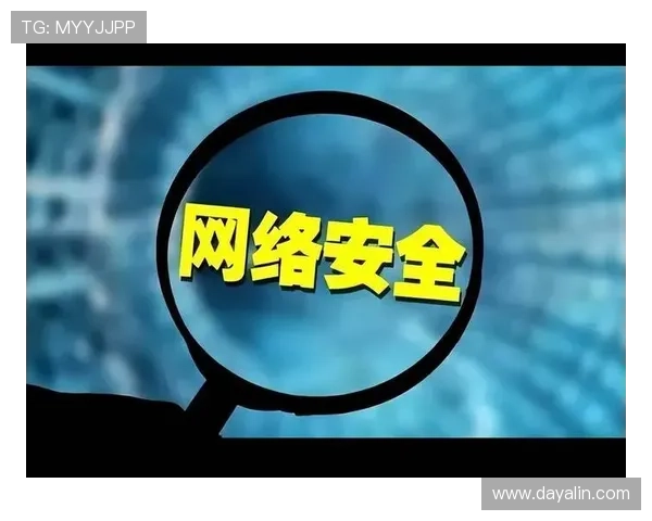 南宫手机登录账号安全保障措施详解确保玩家账号信息安全与登录安全的实用技巧