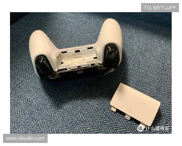 3915电子游戏k1玩家评价与真实体验分享帮助新手了解游戏真实玩法与乐趣所在