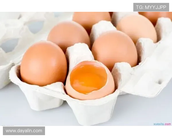 ng南宫国际娱乐平台的客户服务体系与用户反馈的真实体验